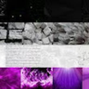 Meet your Posher, Hollie